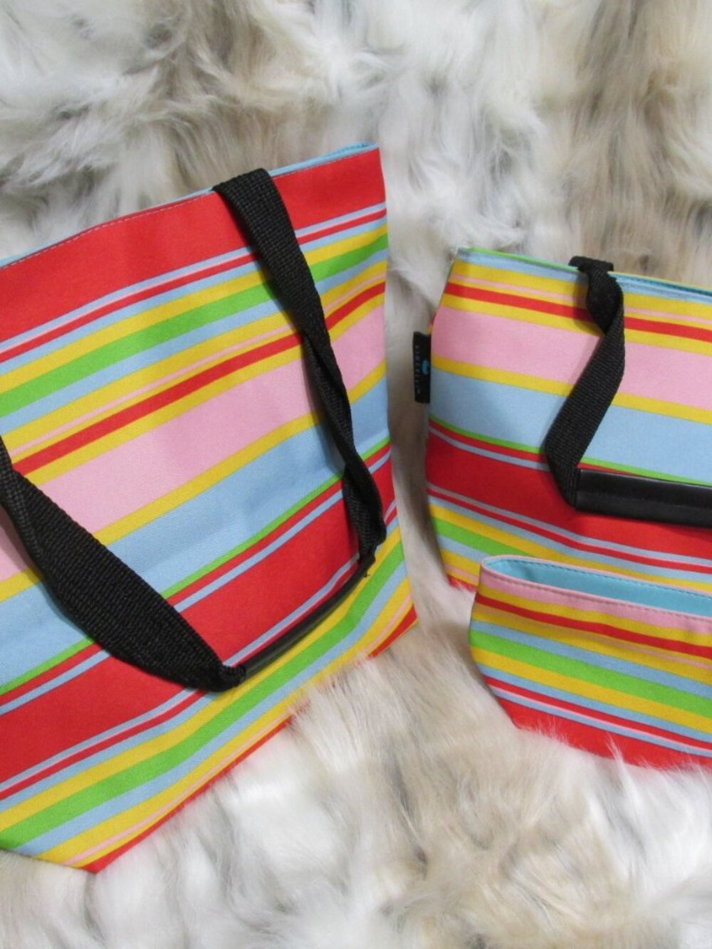 P2875-NWT 3pc Vincelli Rainbow Nylon Bags